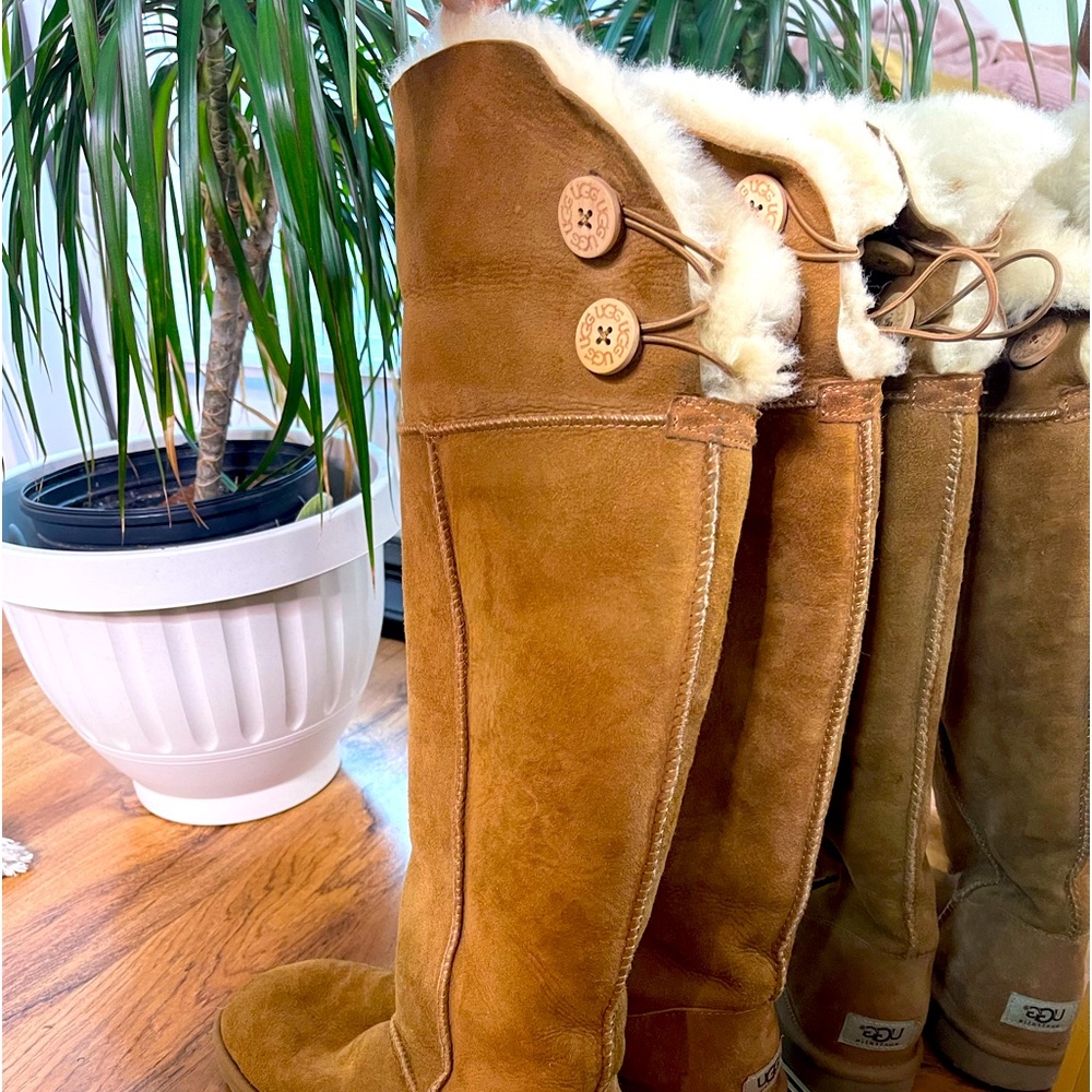 OVER THE KNEE BAILEY BUTTON CHESTNUT UGGS  SIZE 7!